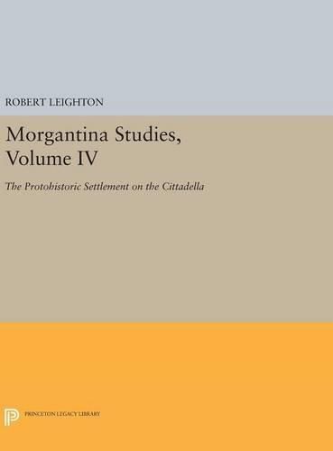 Cover image for Morgantina Studies, Volume IV: The Protohistoric Settlement on the Cittadella