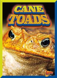 Cover image for Cane Toads