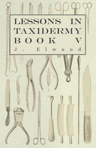 Cover image for Lessons In Taxidermy - A Comprehensive Treatise On Collecting And Preserving All Subjects Of Natural History - Book V.