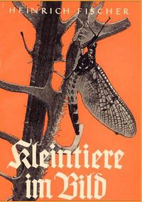 Cover image for Kleintiere im Bild