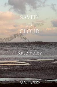 Cover image for Saved to Cloud