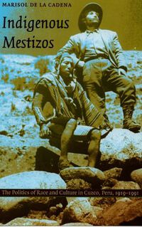 Cover image for Indigenous Mestizos: The Politics of Race and Culture in Cuzco, Peru, 1919-1991