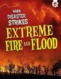 Cover image for Extreme Fires and Floods