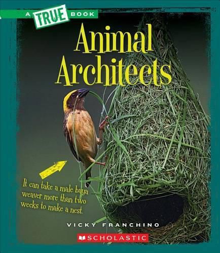 Cover image for Animal Architects