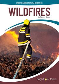 Cover image for Wildfires