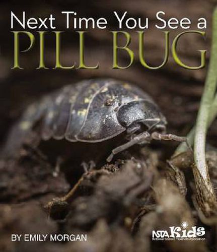 Cover image for Next Time You See a Pill Bug