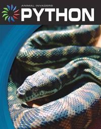 Cover image for Python