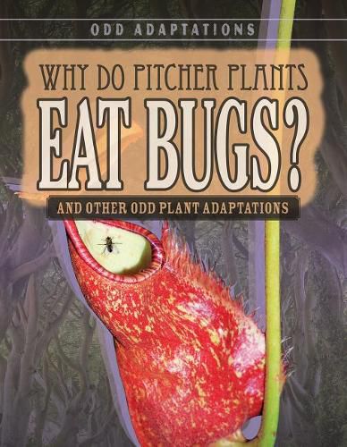 Cover image for Why Do Pitcher Plants Eat Bugs?: And Other Odd Plant Adaptations