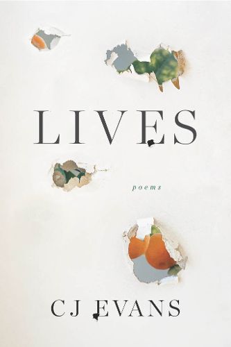 Cover image for Lives