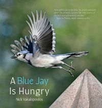 Cover image for A Blue Jay is Hungry