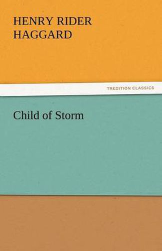 Cover image for Child of Storm