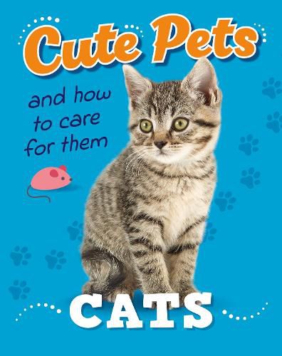 Cover image for Cute Pets! And How to Care For Them: Cats