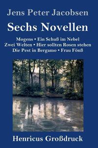 Cover image for Sechs Novellen (Grossdruck)