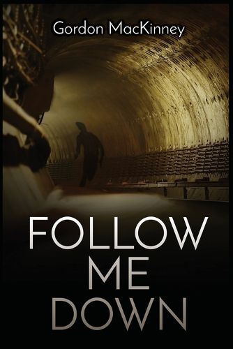 Cover image for Follow Me Down