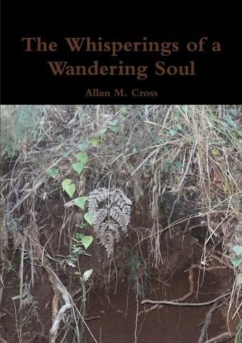 Cover image for The Whisperings of a Wandering Soul