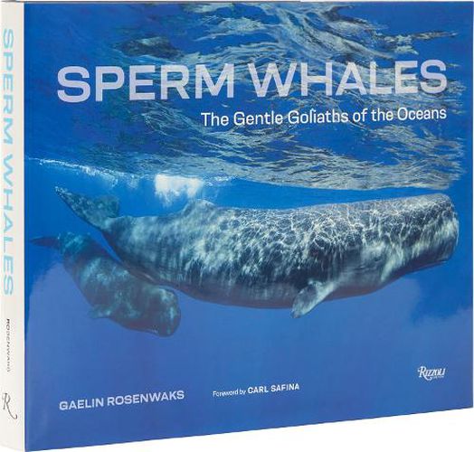 Cover image for Sperm Whales