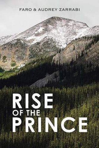 Cover image for Rise of the Prince