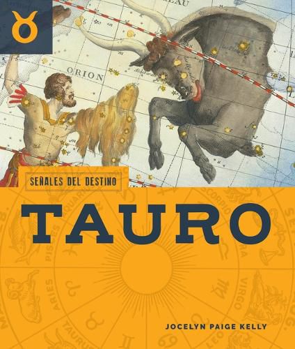 Cover image for Tauro