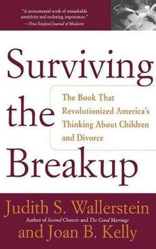 Cover image for Surviving the Break-up