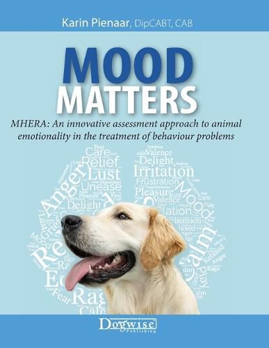 Cover image for Mood Matters - MHERA