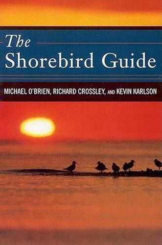 Cover image for The Shorebird Guide