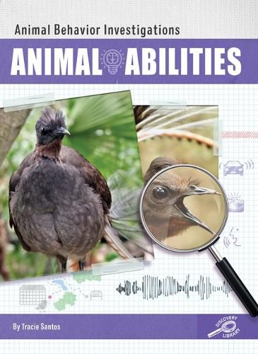 Cover image for Animal Abilities