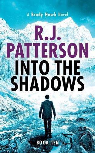 Cover image for Into the Shadows