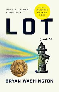 Cover image for Lot: Stories