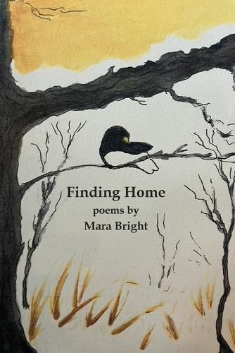 Cover image for Finding Home