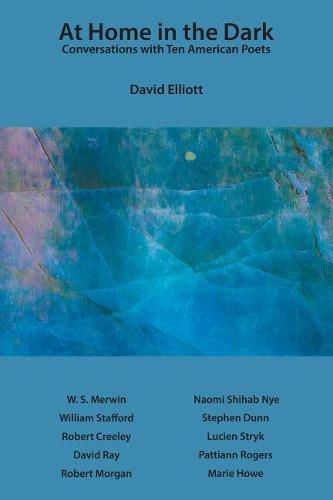 Cover image for At Home in the Dark: Conversations with Ten American Poets
