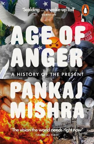 Cover image for Age of Anger: A History of the Present