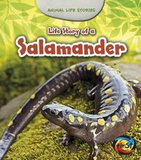 Cover image for Life Story of a Salamander (Animal Life Stories)