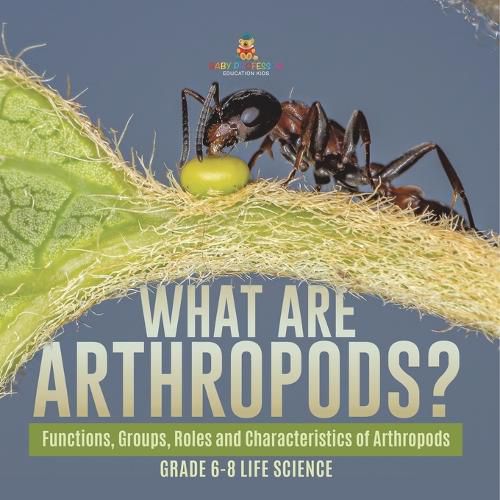 What are Arthropods? Functions, Groups, Roles and Characteristics of Arthropods Grade 6-8 Life Science