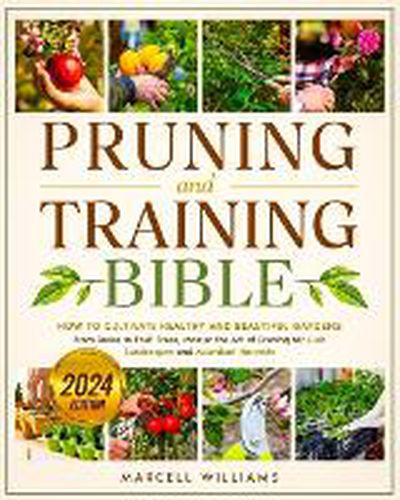 Pruning and Training Bible