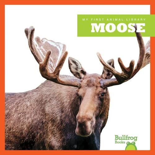 Cover image for Moose