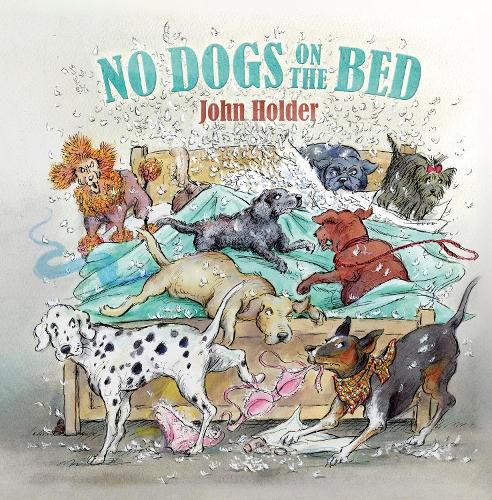 Cover image for No Dogs on the Bed