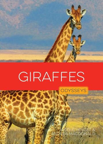 Cover image for Giraffes