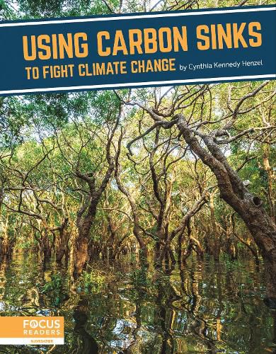 Cover image for Fighting Climate Change With Science: Using Carbon Sinks to Fight Climate Change