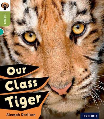 Oxford Reading Tree inFact: Level 7: Our Class Tiger