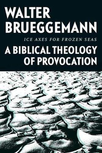 Cover image for Ice Axes for Frozen Seas: A Biblical Theology of Provocation