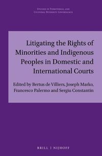 Cover image for Litigating the Rights of Minorities and Indigenous Peoples in Domestic and International Courts