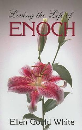 Cover image for Living the Life of Enoch