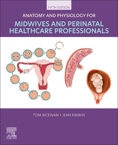 Cover image for Anatomy and Physiology for Midwives and Perinatal Healthcare Professionals