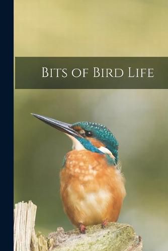 Cover image for Bits of Bird Life