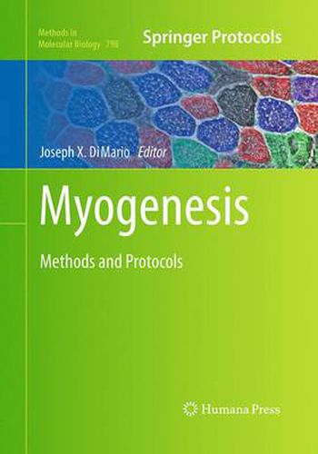 Cover image for Myogenesis: Methods and Protocols