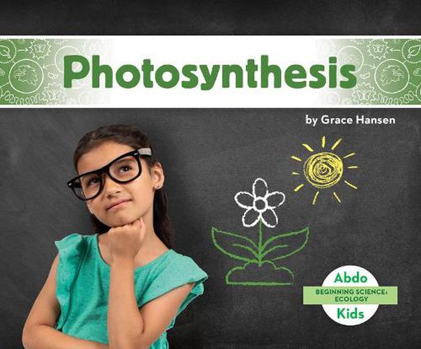 Cover image for Photosynthesis