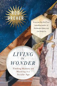 Cover image for Living in Wonder