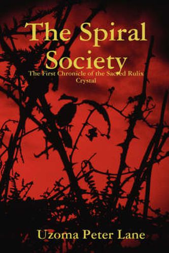 Cover image for The Spiral Society