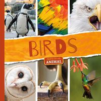 Cover image for Birds