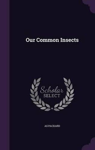 Cover image for Our Common Insects